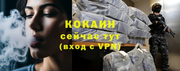 дмт Няндома