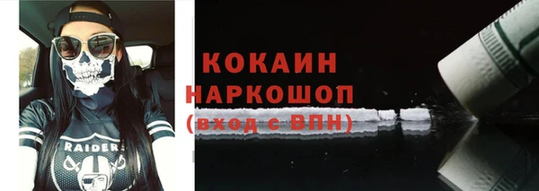 дмт Няндома