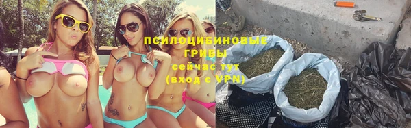 стаф Нягань